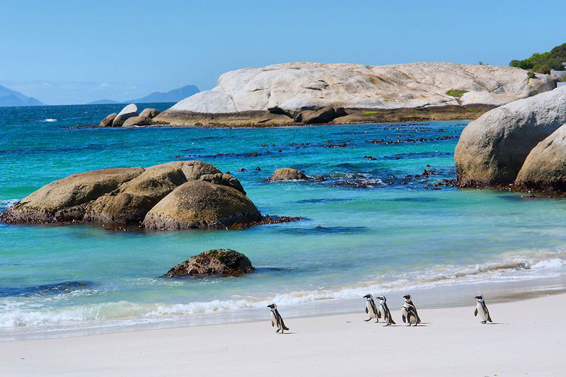Praias da África do Sul: Bpulders beach é o local onde podem ser avistados muitos pinguins