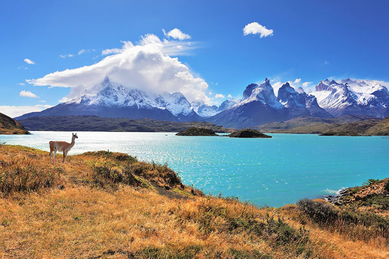 Dicas de viagem para o Chile: A patagõnia tem paisagens incríveis