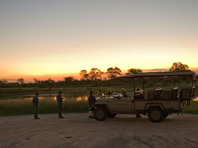 Férias na África do Sul: Kruger park é um destino maravilhoso e cheio de surpresas