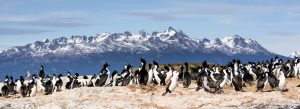 Inverno na Patagônia: Lugares para você se divertir e curtir a natureza