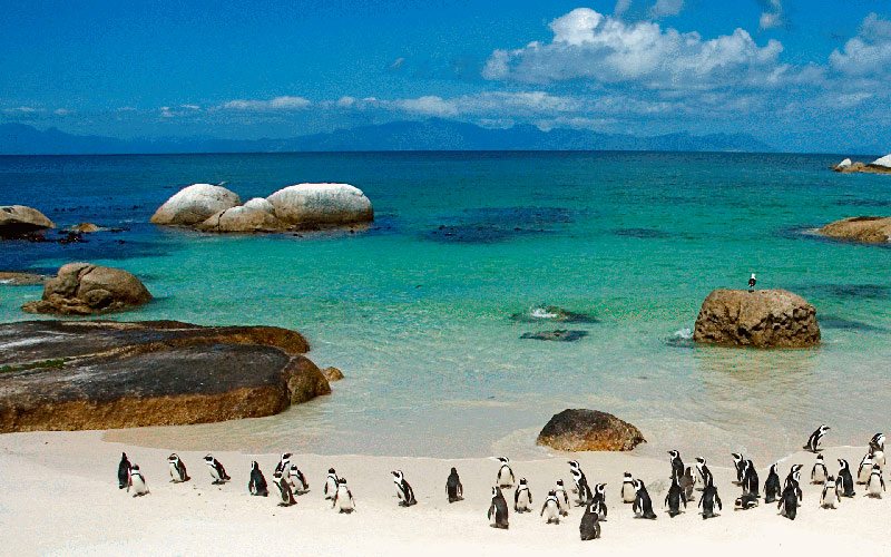 Tudo sobre a África do Sul: As praias são incríveis