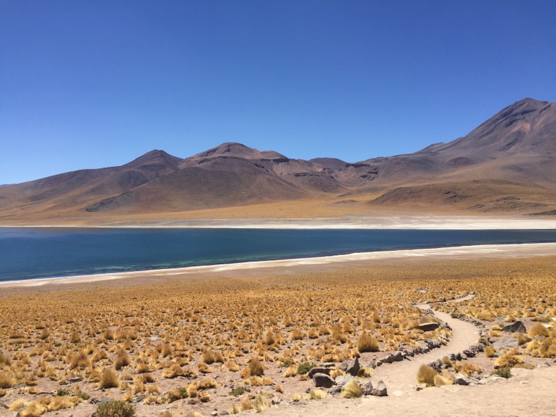 Curiosidades sobre o Atacama:  O deserto é incrível