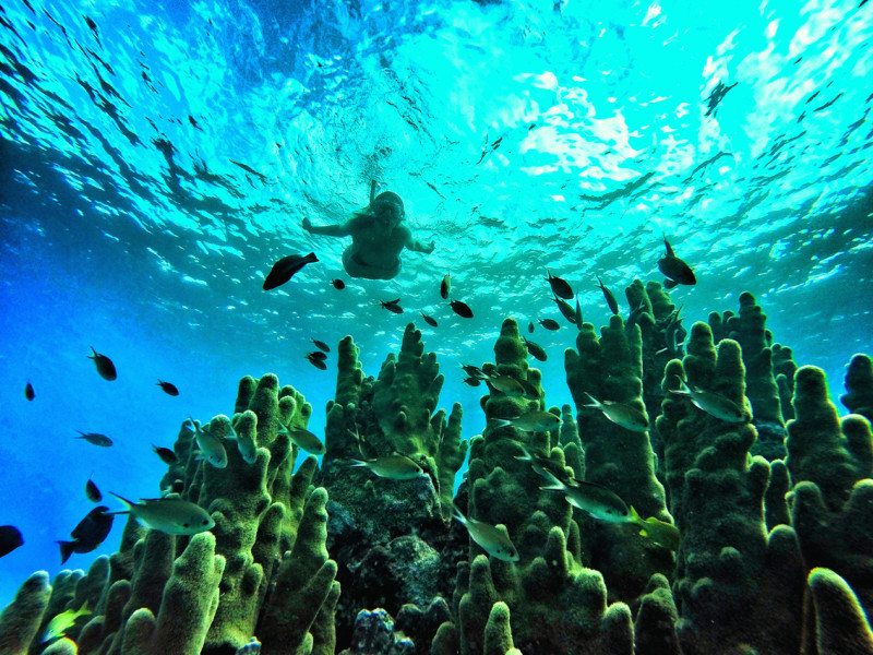 Lugares para conhecer na Colômbia: San Andres é um paraiso