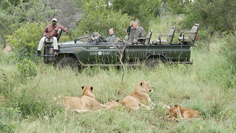 Safáris para conhecer na África do Sul:  Passeios para vistar animais em seu habitat natural