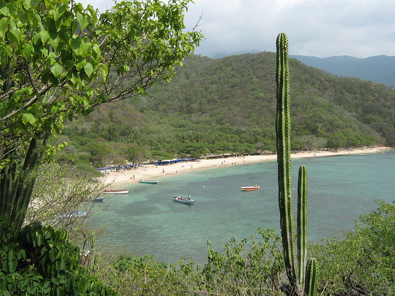 Praias do tayrona são incríveis