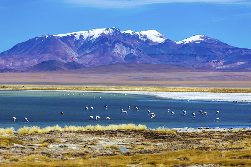 Quando ir para o Atacama: O ano todo para visitar um dos lugares mais fantásticos