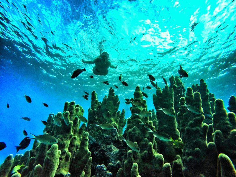 Turismo de aventura no Caribe: águas claras para o mergulho