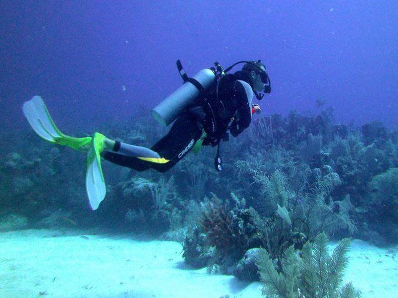 Turismo de aventura: o mergulho no mar do caribe é uma excelente alternativa