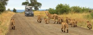 Melhores destinos da África do Sul: # lugares fantásticos para explorar