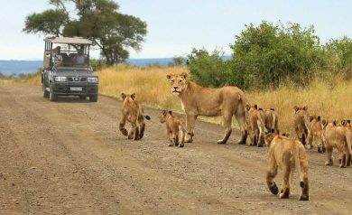 Melhores destinos da África do Sul: # lugares fantásticos para explorar