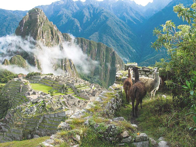 Visitar machu Picchu é um sonho de muitos turistas