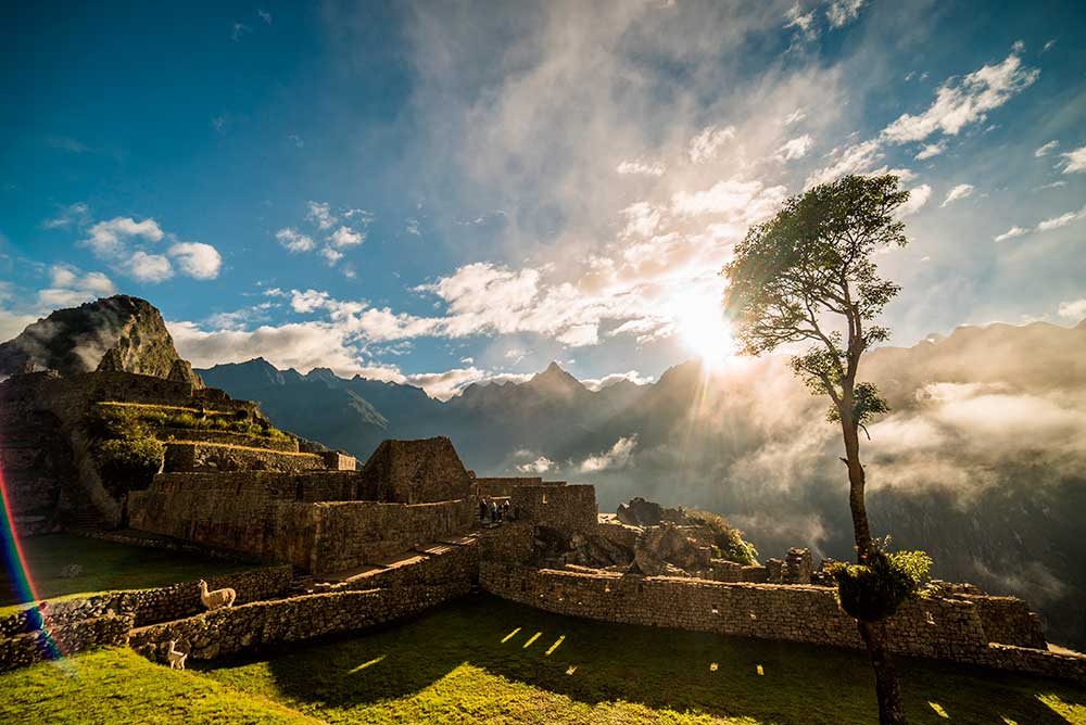 Machu Picchu