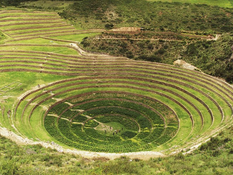 MOray é um lugar fantástico