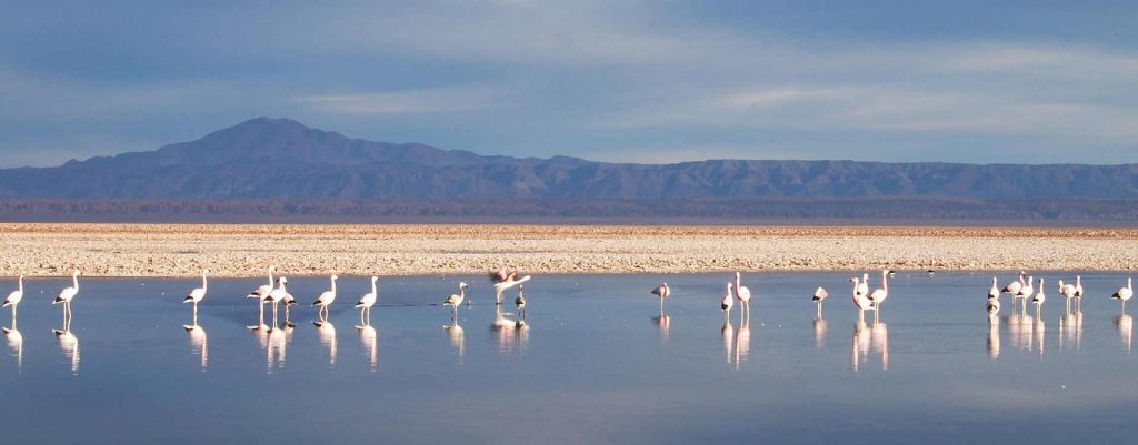 Deserto de Atacama: Um lugar fantástico para descobrir