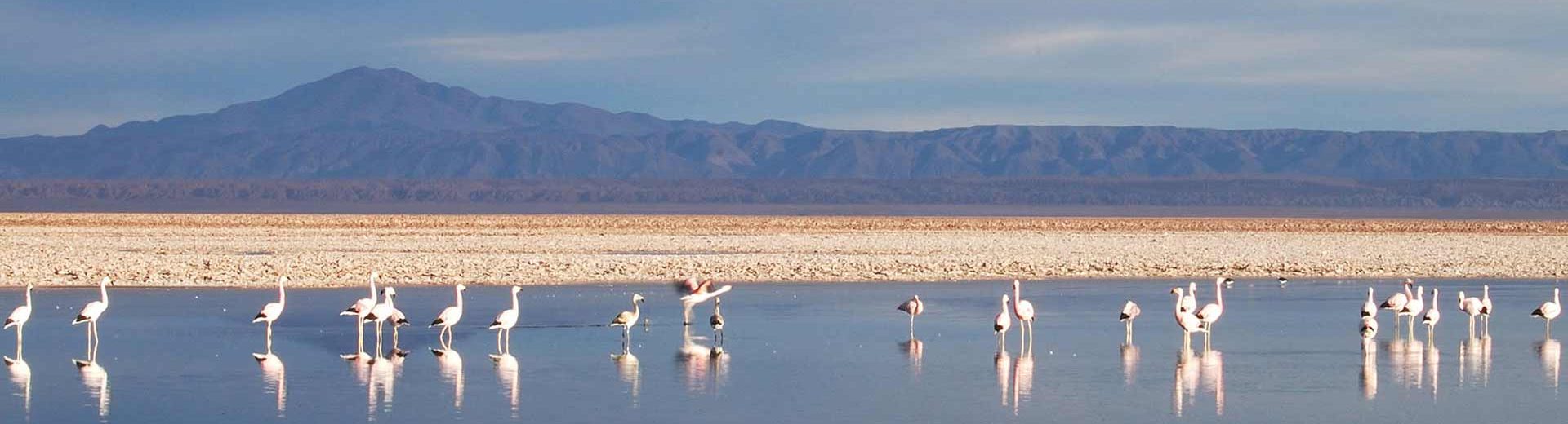 Deserto de Atacama: Um lugar fantástico para descobrir
