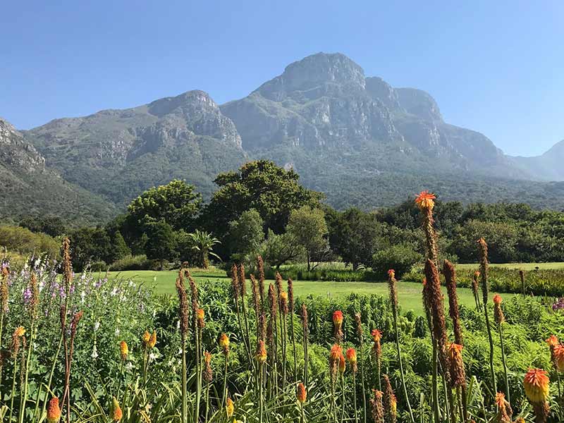 O Jardim botanico é um lugar fantástico para conhecer