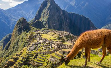 Passeio em machu picchu