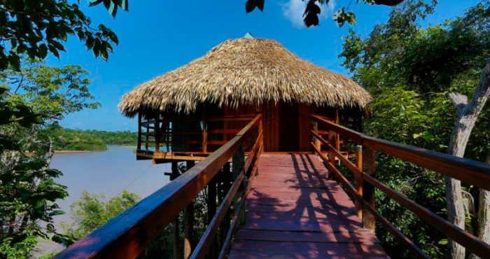 Pacote Amazônia Juma Lodge
