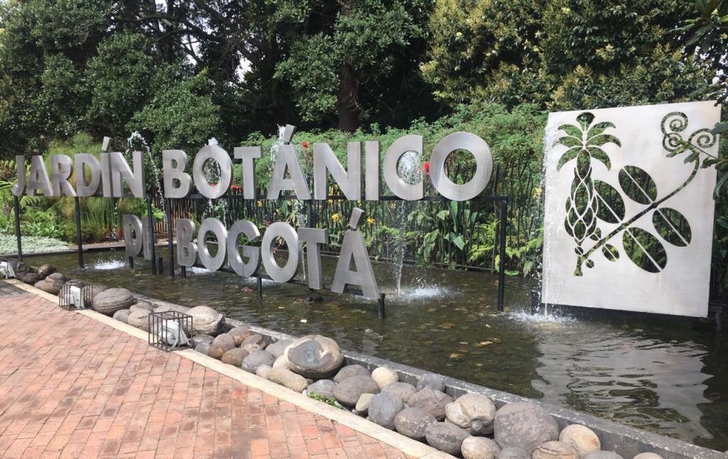 Passear no jardim botânico é uma atividade incrível