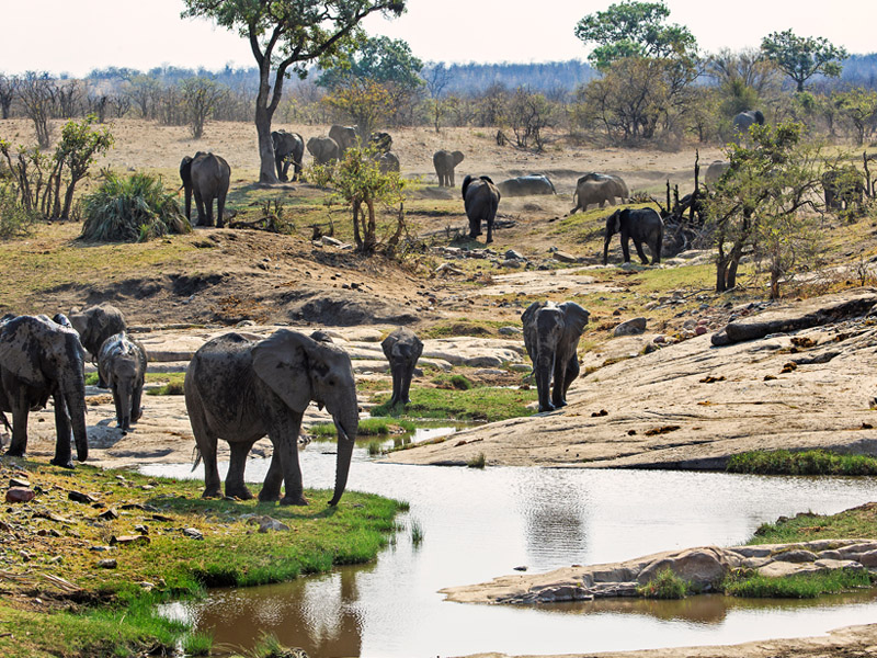 PAcote para o Kruger Park: Um passeio imperdível