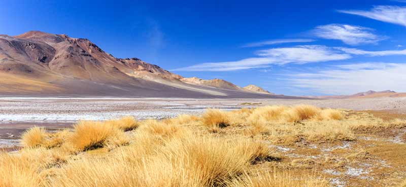 O salar de Tara fica no Deserto do Atacama