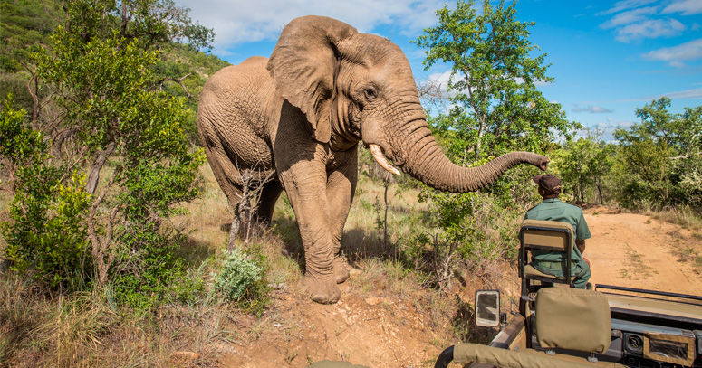 Viagem para África do Sul