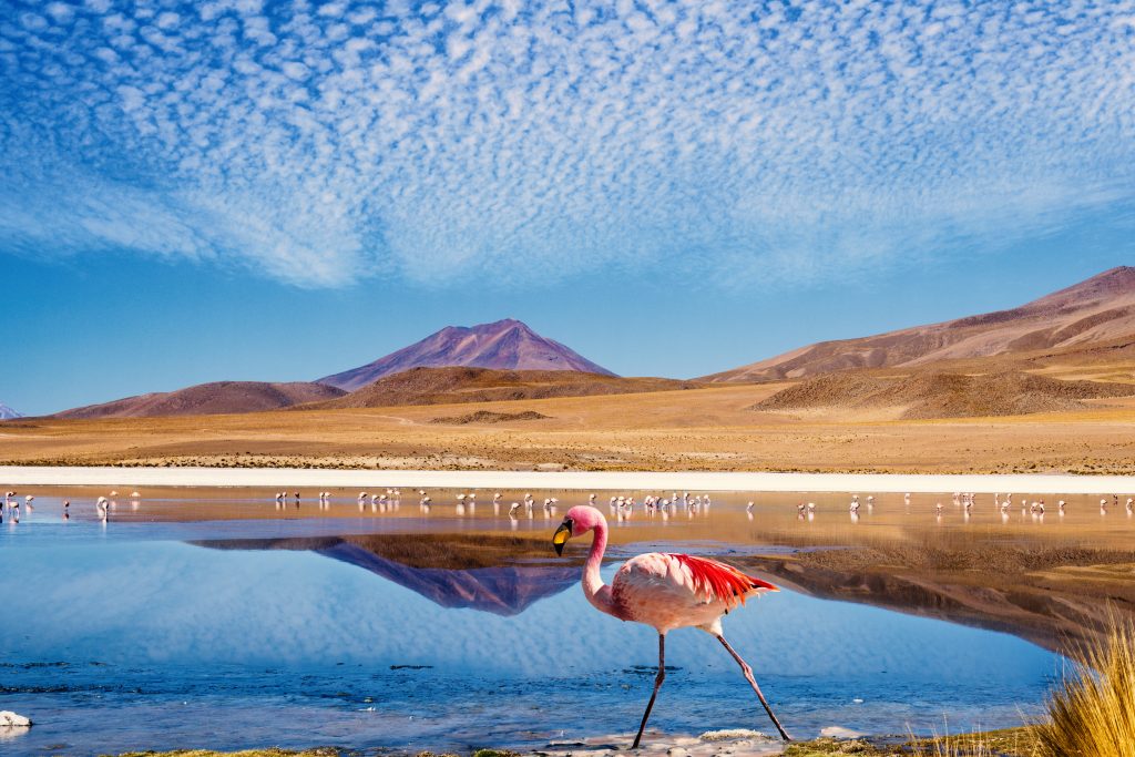 viagem para o deserto do atacama