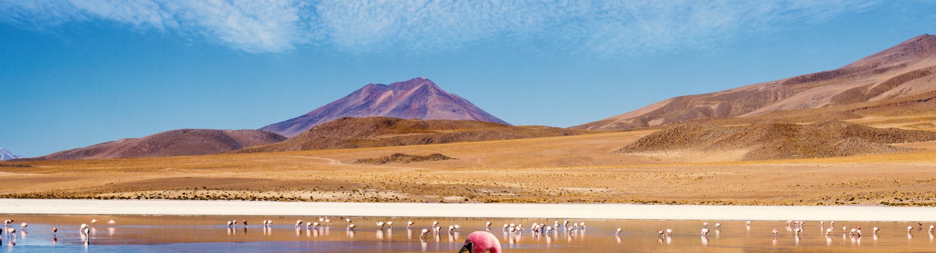 viagem para o deserto do atacama