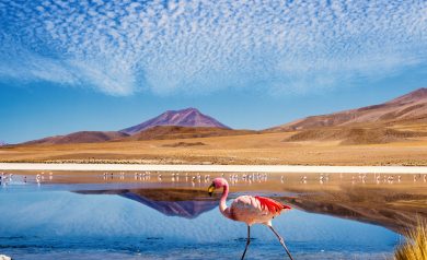 viagem para o deserto do atacama