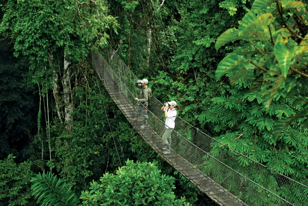 Natureza no Peru