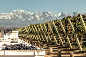 Viagem para Mendoza