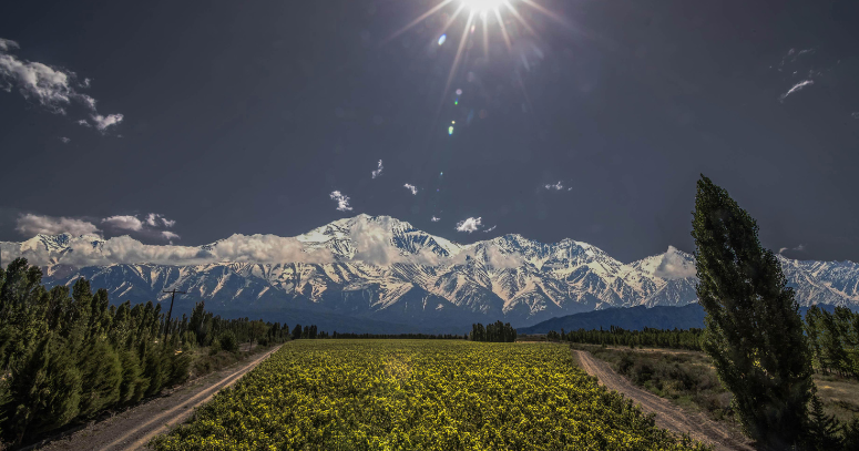 Mendoza Vinho