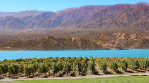 Viagem Mendoza