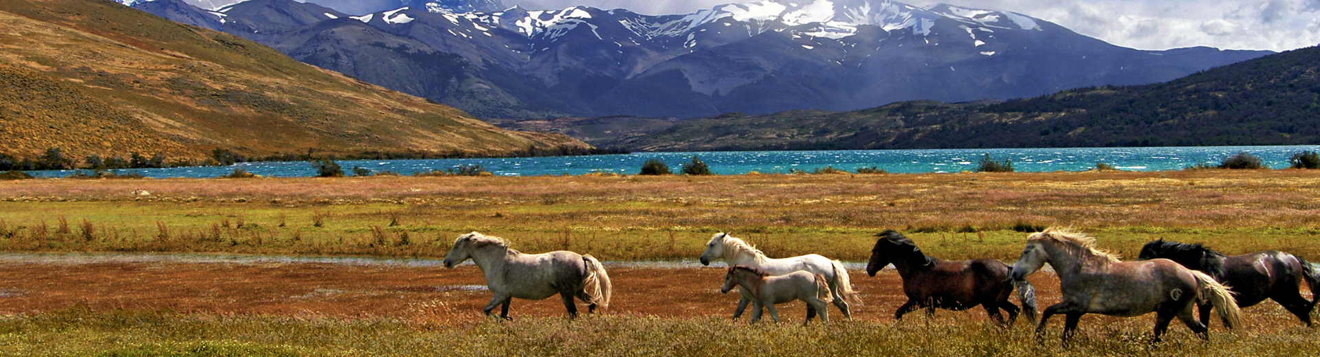 Patagônia Argentina e Chilena