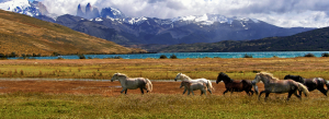 Patagônia Argentina e Chilena