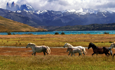 Patagônia Argentina e Chilena