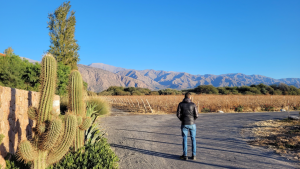 Salta Cafayate
