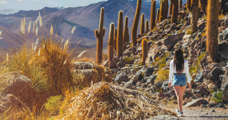 Viagem Atacama