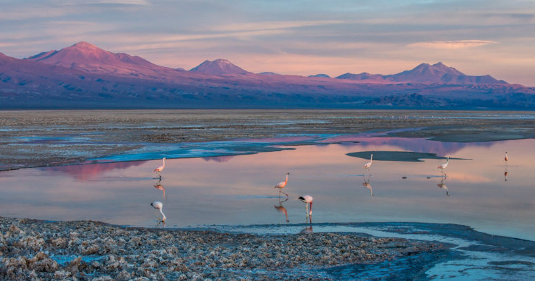 Atacama