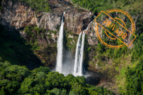 Veadeiros
