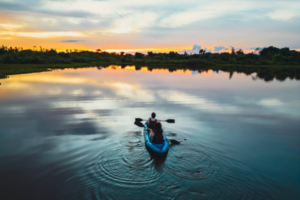 Pantanal