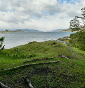 Black November Patagônia