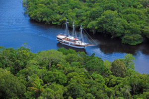 Amazônia