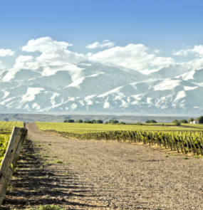 Mendoza Entre Cielos
