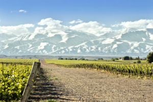 Mendoza Entre Cielos