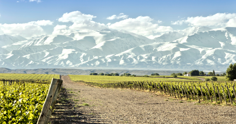 Mendoza Entre Cielos