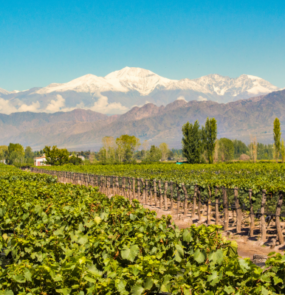 Mendoza e Vale do Uco
