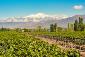 Mendoza e Vale do Uco