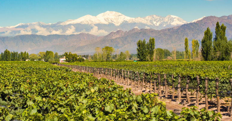 Mendoza e Vale do Uco