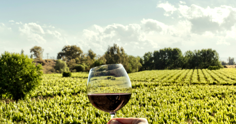Vinho